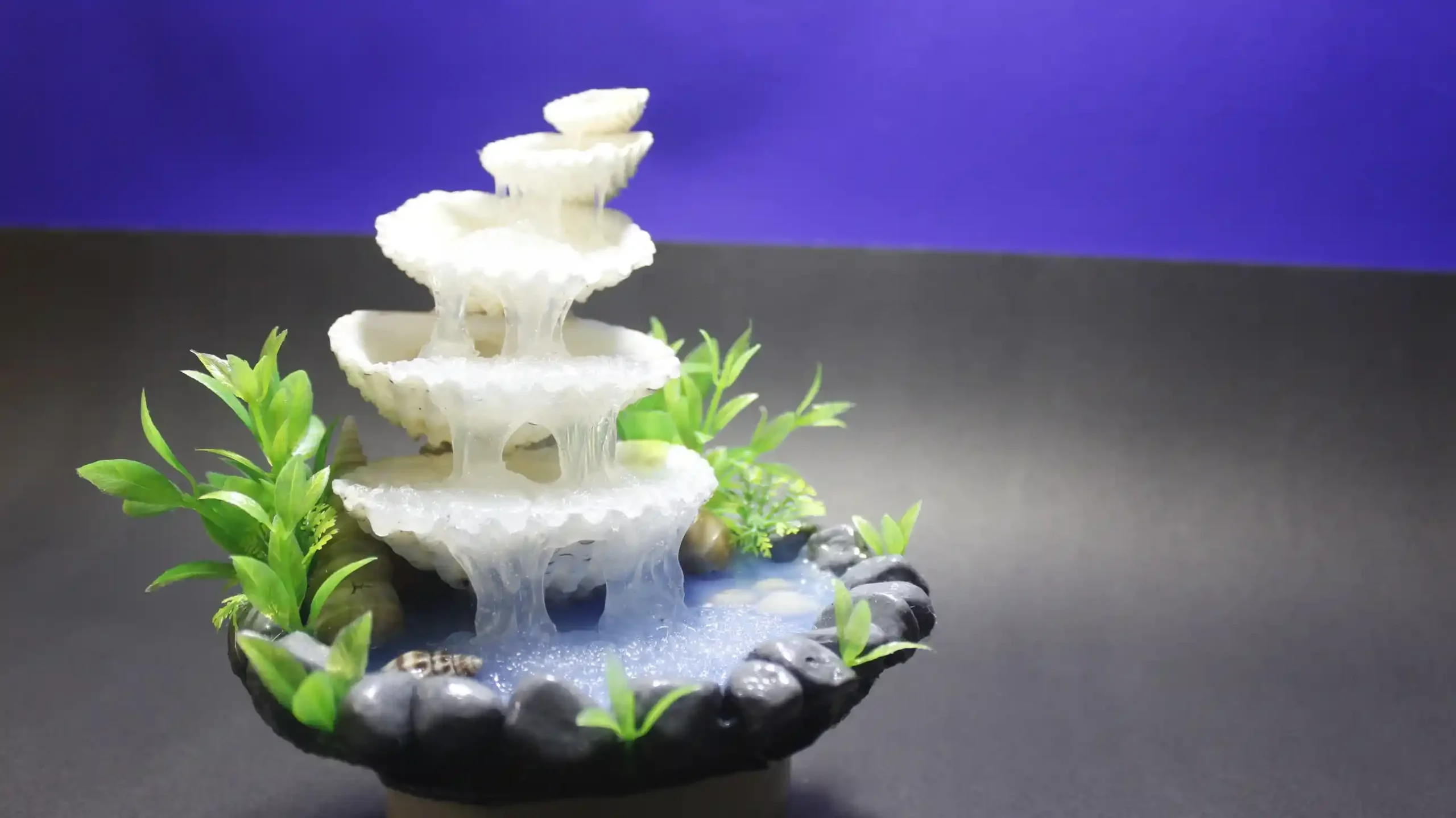 sea shell waterfall